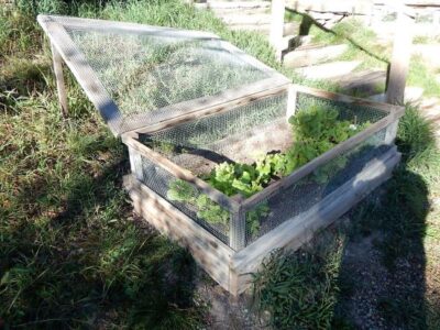 Self Sufficiency and Sharing Resources Image